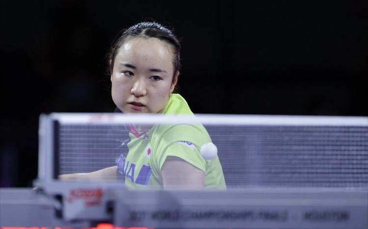 增添了不少 增添了不少