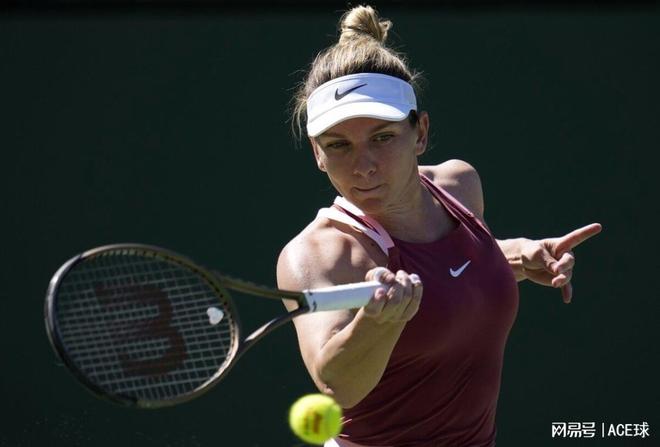 更是奠定了 更是奠定了