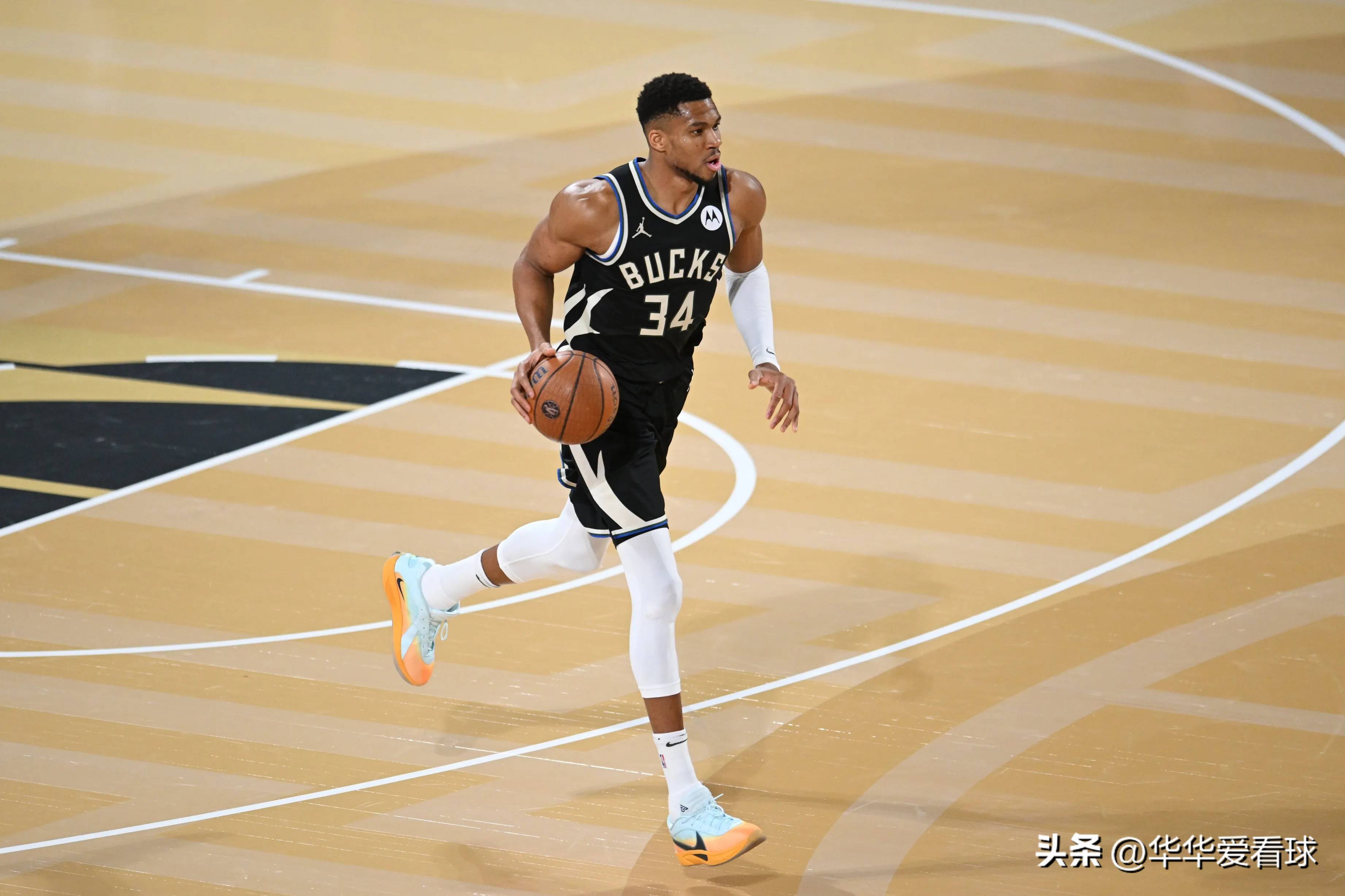 术多样性 术多样性