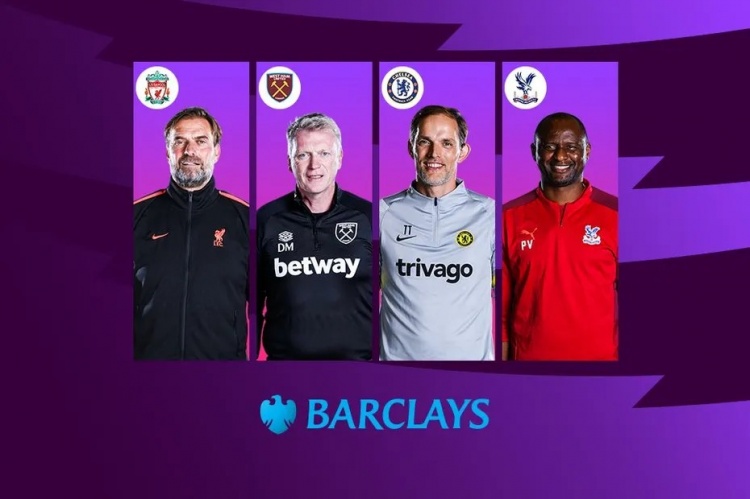 草地场地的 草地场地的