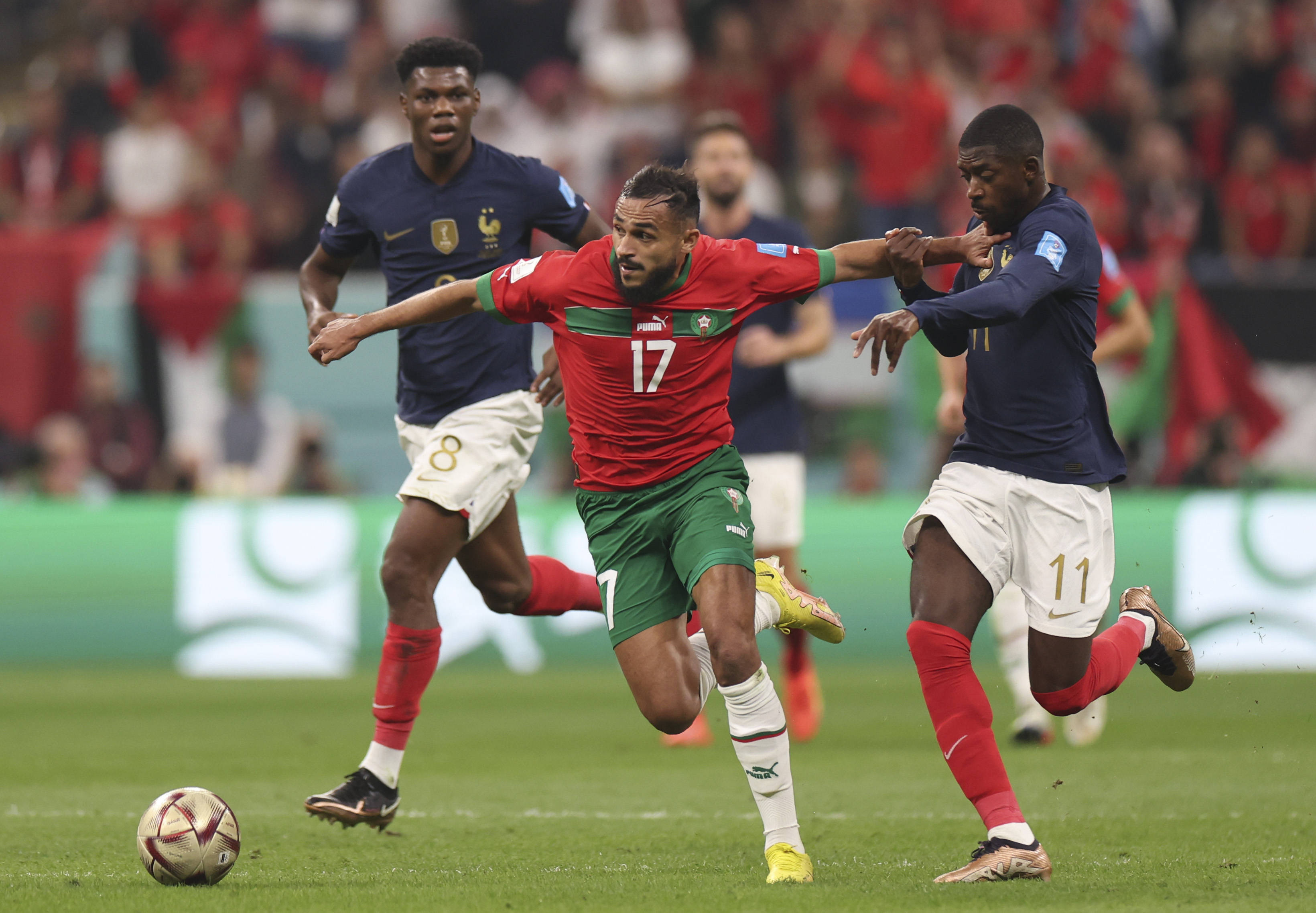 波特兰开拓 波特兰开拓