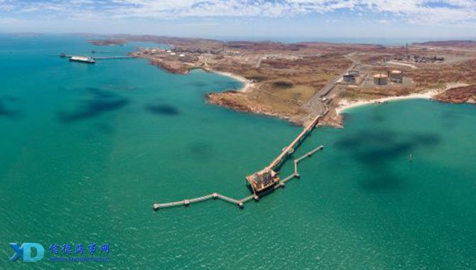 某头部俱乐 某头部俱乐