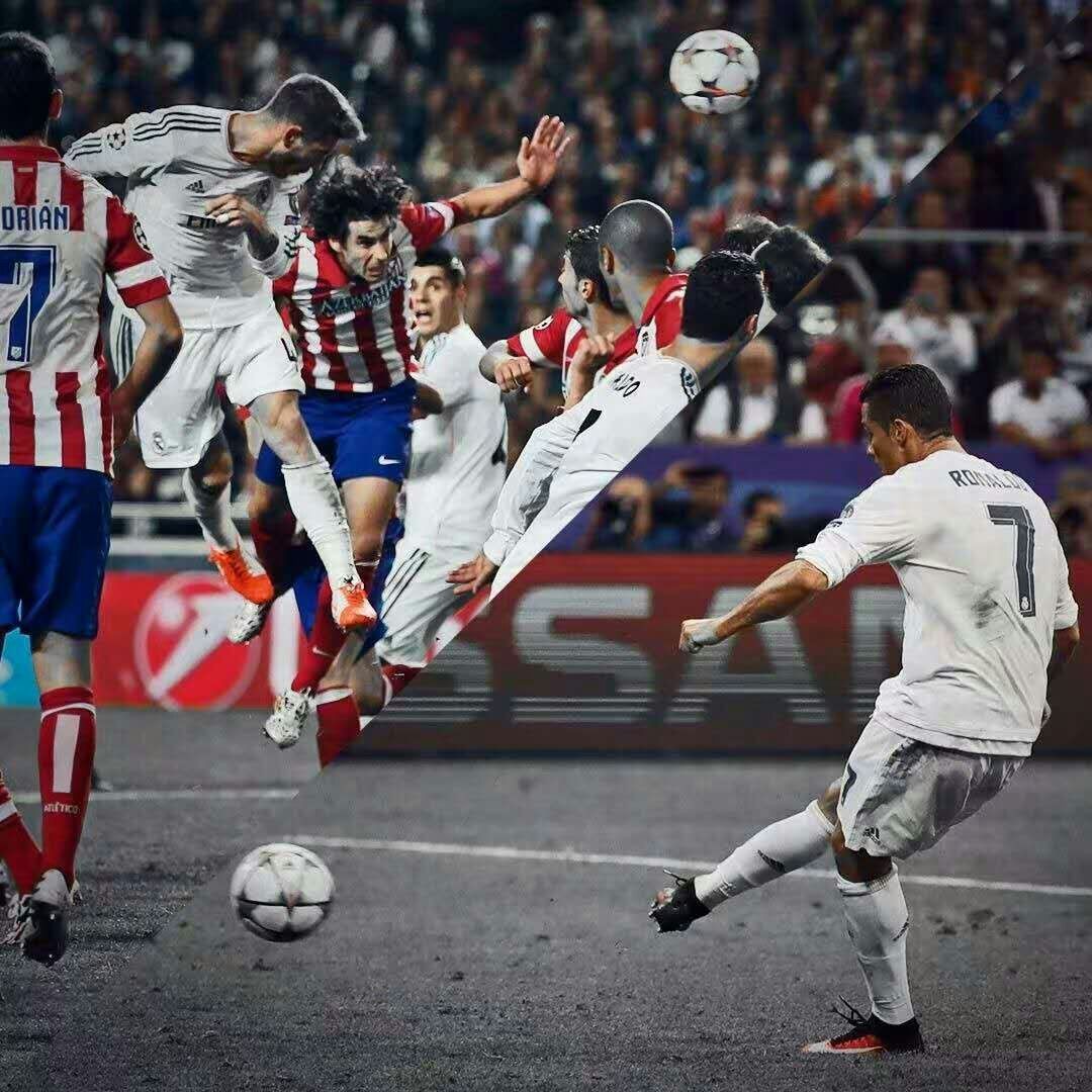GOAT GOAT